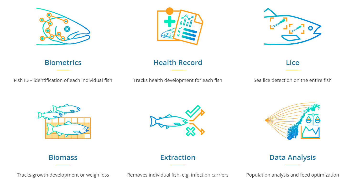 Mark Of The Trout: AI And Surveillance Farm Called “iFarm Fish” Is ...